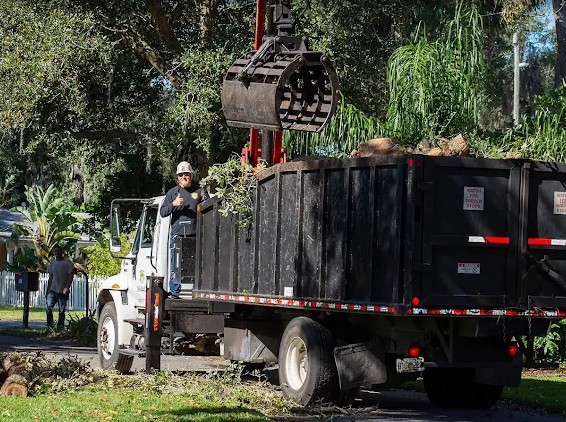 tree removal in Volusia, Seminole, Flagler, and Orange County