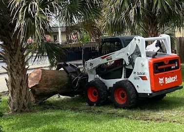 stump grinding in Volusia, Seminole, Flagler, and Orange County